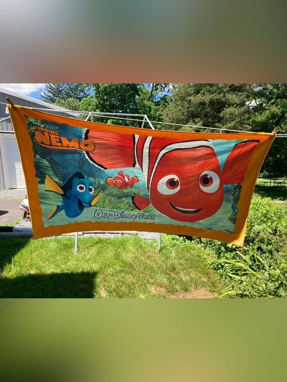 Walt Disney World Theme Parks Finding Nemo Beach Pool Towel Dory 31 x 58